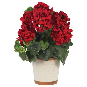Geranium Silk Plant - SKU #4691