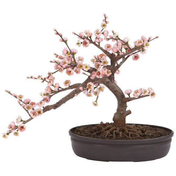 Cherry Blossom Bonsai Silk Tree - SKU #4764