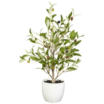 18 Olive Tree w/Vase - SKU #4774