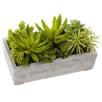 Succulent Garden w/Concrete Planter - SKU #4841
