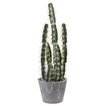 Decorative Cactus Garden w/Cement Planter - SKU #4845