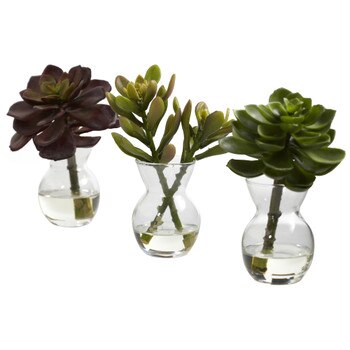 Succulent Arrangements Set of 3 - SKU #4954-S3