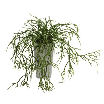 10.5 Wild Grass w/White Vase - SKU #4973