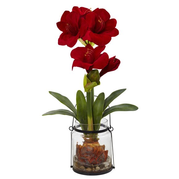 24 Amaryllis w/Vase - SKU #4994
