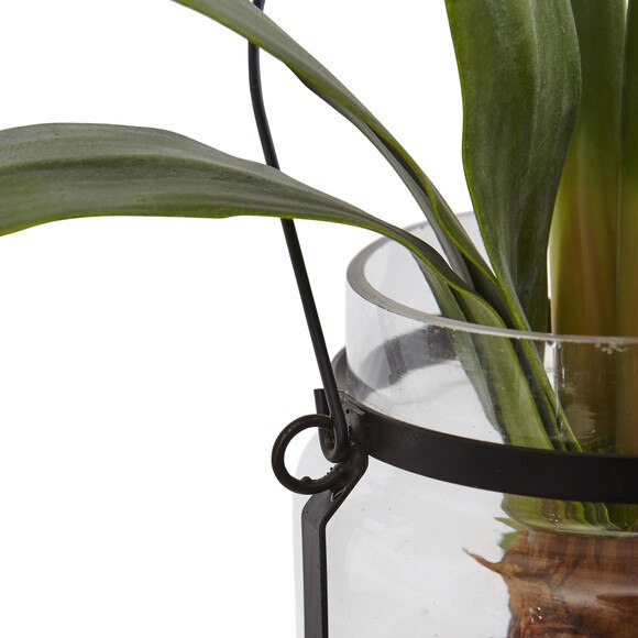 24 Amaryllis w/Vase - SKU #4994 - 1
