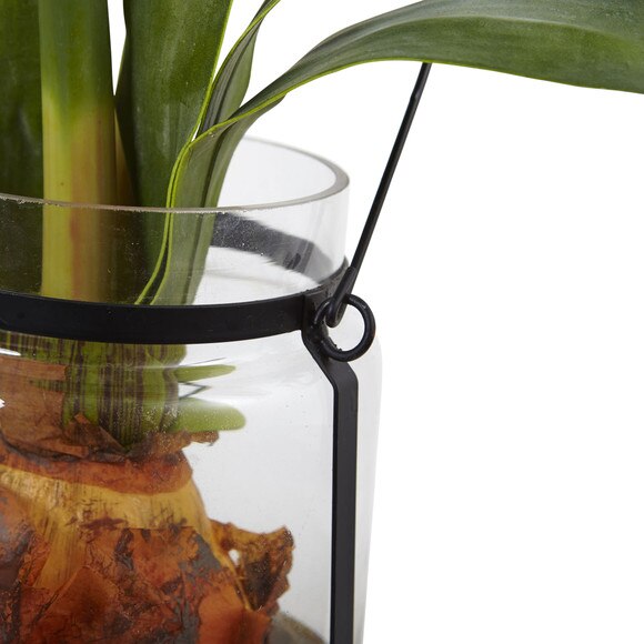 24 Amaryllis w/Vase - SKU #4994 - 2