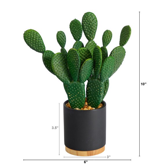 10 Cactus Succulent Artificial Plant in Planter - SKU #4999 - 1