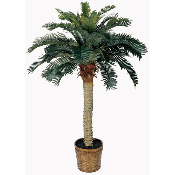 4 Sago Silk Palm Tree - SKU #5043