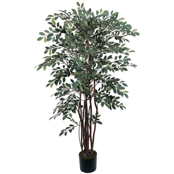 4 Ruscus Silk Tree - SKU #5082