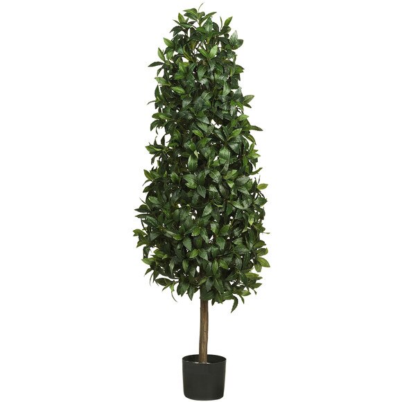 5 Sweet Bay Pyramid Silk Tree - SKU #5243