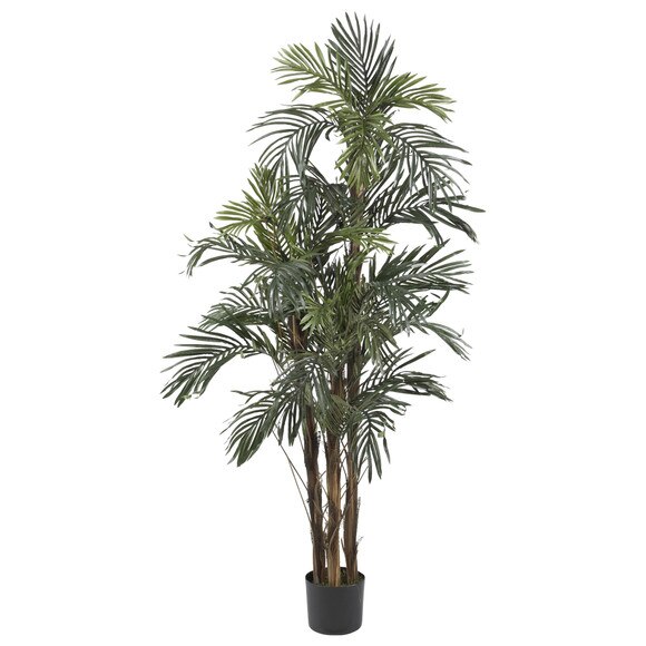 5 Robellini Palm Silk Tree - SKU #5283