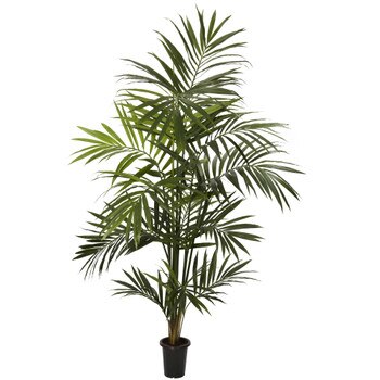 7 Kentia Palm Silk Tree - SKU #5335