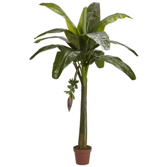 6 Banana Silk Tree Real Touch - SKU #5338