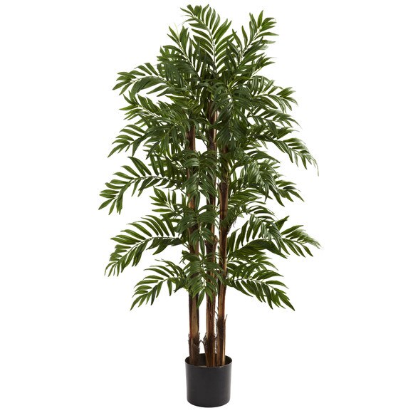 4 Parlour Palm Tree - SKU #5405