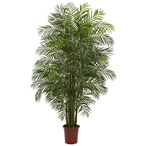7.5 Areca Palm W/1966 Lvs UV Resistant Indoor/Outdoor - SKU #5435