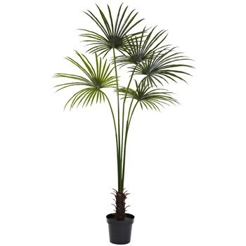 7 Fan Palm Tree UV Resistant Indoor/Outdoor - SKU #5447