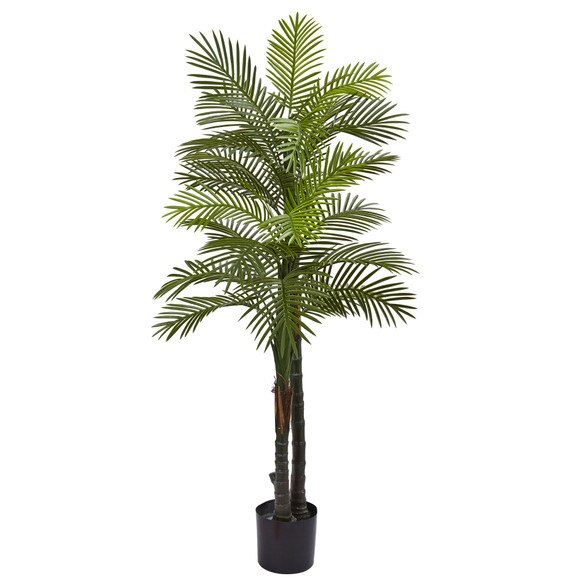 5.5 Double Robellini Palm Tree UV Resistant Indoor/Outdoor - SKU #5479
