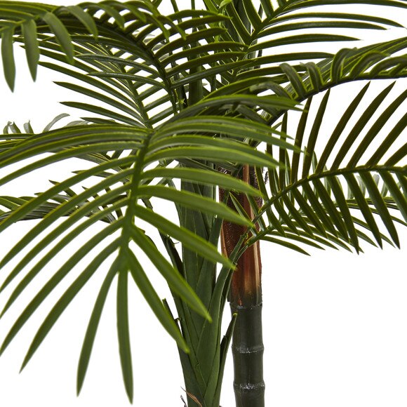5.5 Double Robellini Palm Tree UV Resistant Indoor/Outdoor - SKU #5479 - 1
