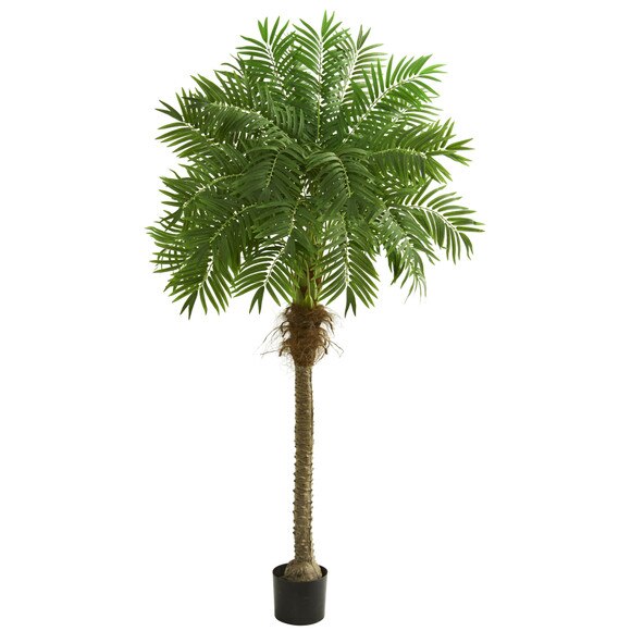 80 Robellini Palm Artificial Tree - SKU #5542
