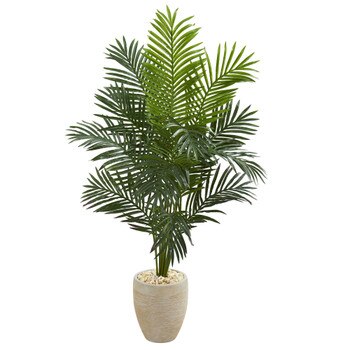 5.5 Paradise Artificial Palm Tree in Sand Colored Planter - SKU #5641