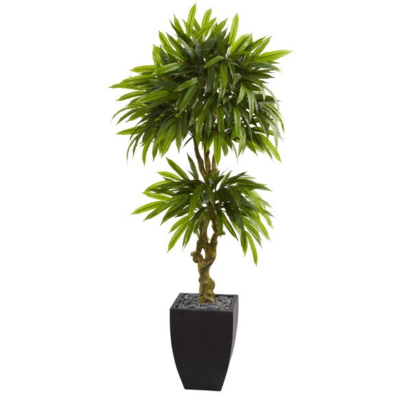 5.5 Mango Artificial Tree in Black Wash Planter UV Resistant Indoor/Outdoor - SKU #5723
