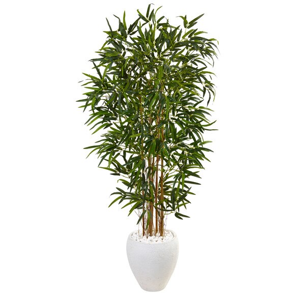 5 Bamboo Tree in Oval White Planter - SKU #5817