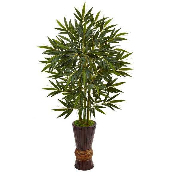 5 Bamboo Tree in Bamboo Planter - SKU #5823