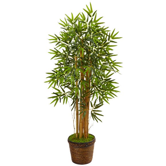 4.5 Bamboo Tree in Coiled Rope Planter - SKU #5826