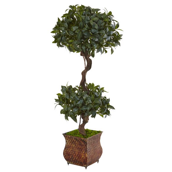 4.5 Sweet Bay Double Topiary Tree in Metal Planter - SKU #5844