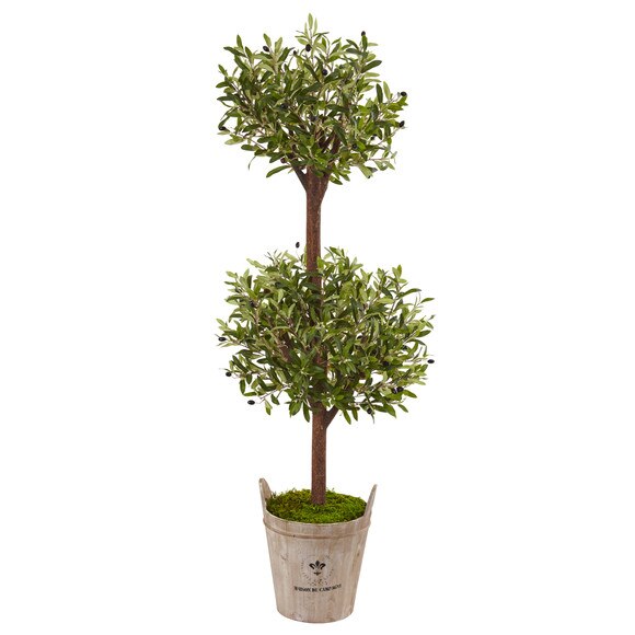5 Olive Tree in Farmhouse Planter - SKU #5845