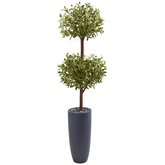 6 Olive Double Tree in Gray Cylinder Planter - SKU #5859