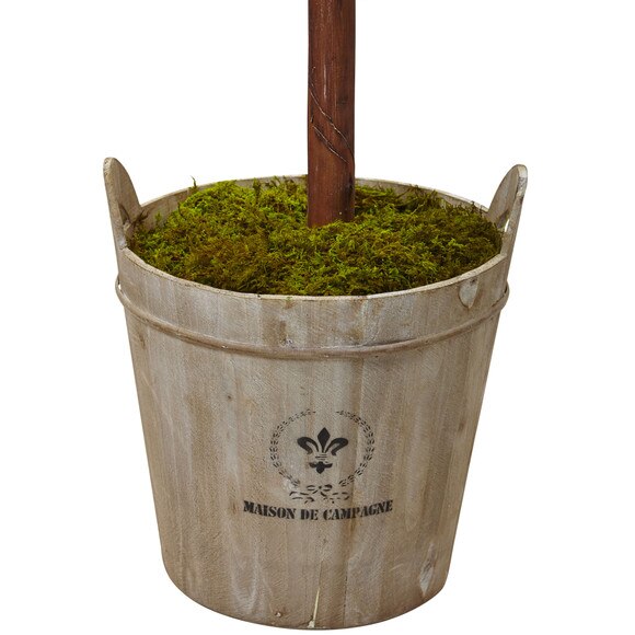 6 Double Ball Topiary Tree with European Barrel Planter - SKU #5958 - 2