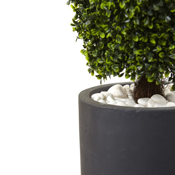 50 Boxwood Topiary with Gray Cylindrical Planter UV Resistant Indoor/Outdoor - SKU #5961 - 1