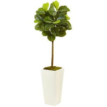 4.5 Fiddle Leaf Fig in White Planter Real Touch - SKU #5966