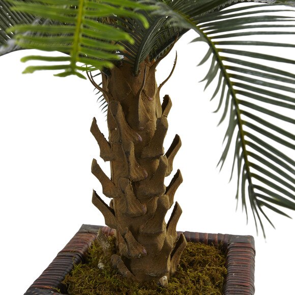 3 Cycas Tree in Wood Planter - SKU #5972 - 1