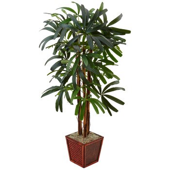 5 Raphis Palm Tree in Bamboo Planter - SKU #5983