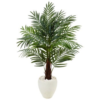 4.5 Areca Palm Tree in White Oval Planter - SKU #5985