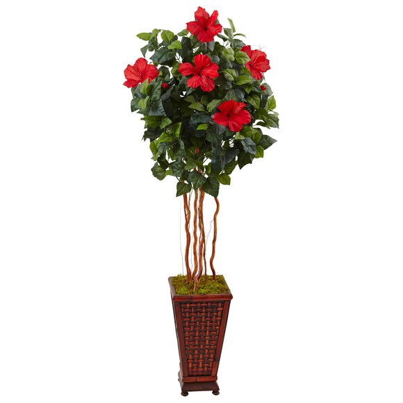 5 Hibiscus Tree in Decorated Wooden Planter - SKU #5999