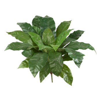 28 Birds Nest Bush w/24 Lvs - SKU #6064