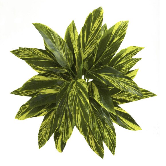 19 Tradescantia Real Touch Bush X 5 w/30 Lvs - SKU #6123 - 1
