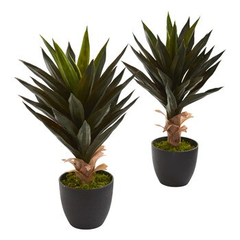 Agave Artificial Plant Set of 2 - SKU #6178-S2