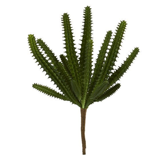 8 Finger Cactus - SKU #6213