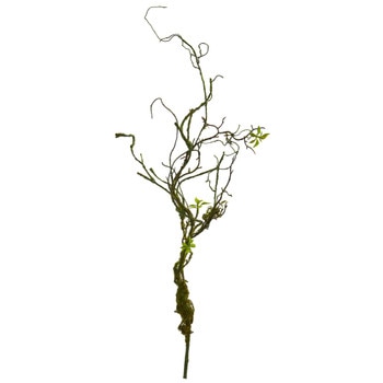 24 Moss Twig Vine - SKU #6228