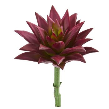 8 SUCCULENT PICK - SKU #6237