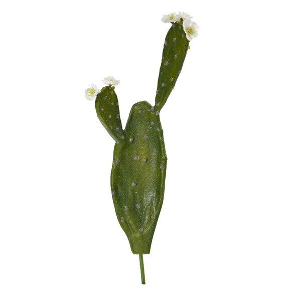 24 Cactus Stem - SKU #6264