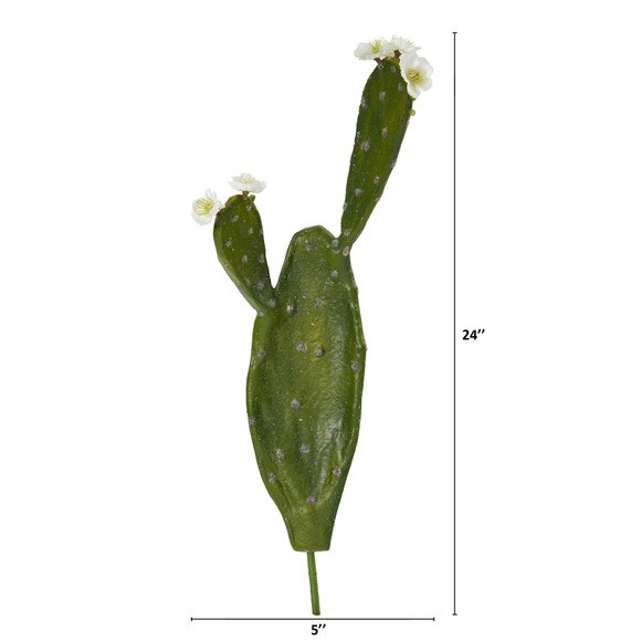 24 Cactus Stem - SKU #6264 - 1