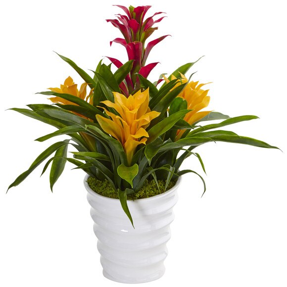 Bromeliad in White Swirl Vase - SKU #6304