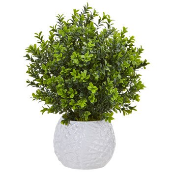 Boxwood in White Vase Indoor/Outdoor - SKU #6310