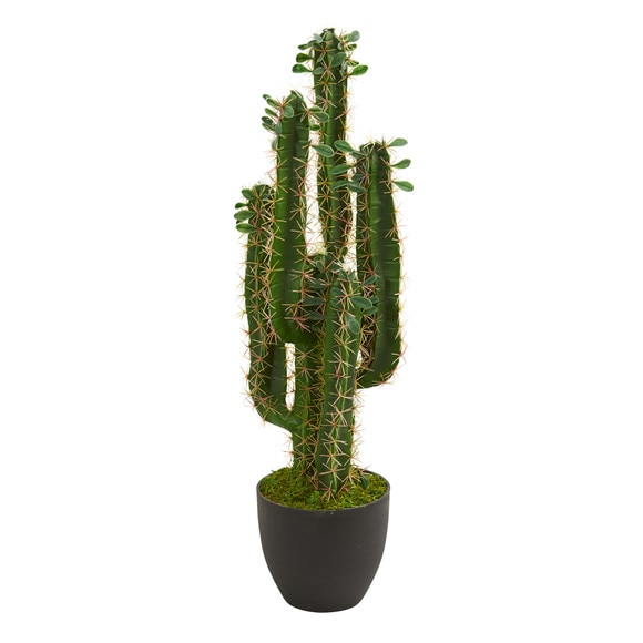 2.5 Cactus Artificial Plant - SKU #6330
