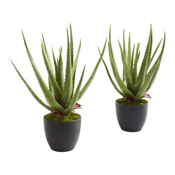 Aloe Artificial Plant Set of 2 - SKU #6352-S2